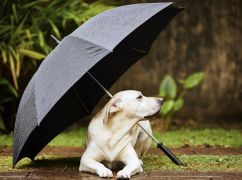 Дождь и мокрый снег: какой будет погода в Харькове 24 апреля