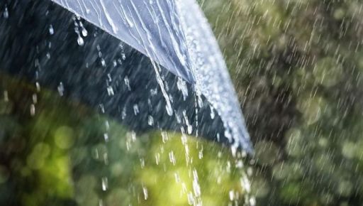В Харьковской области пройдут дожди: Прогноз на 29 июля