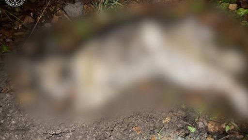 В Харьковской области мужчина застрелил соседского пса на своем огороде