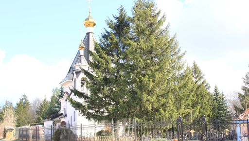Кладовище на Пушкінській у Харкові закрили для відвідувачів