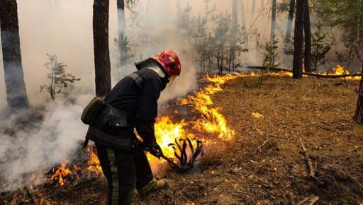 На Харківщині врятували чоловіка під час пожежі у природній зоні