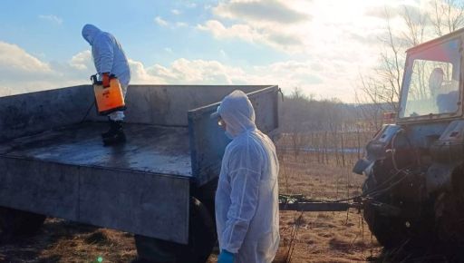 На Харьковщине обнаружили случай птичьего гриппа: Что известно