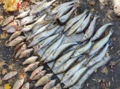 В Лозовой будут судить браконьера: Что грозит за незаконную рыбалку
