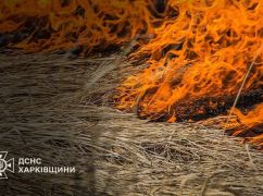 В Харьковской области за неделю в природных экосистемах сгорело более 113 га