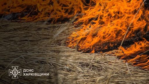 На Харківщині за тиждень у природних екосистемах згоріло понад 113 га