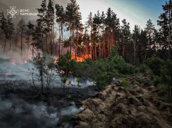 В Харьковской области горят леса: ГСЧС тушит семь пожаров