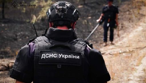 На Харківщині загасили пожежу в замінованому лісі: Кадри з місця