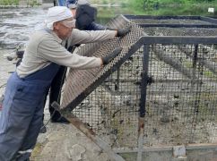 В Удах под Харьковом после массового мора рыбы обновили "убийцу мусора"