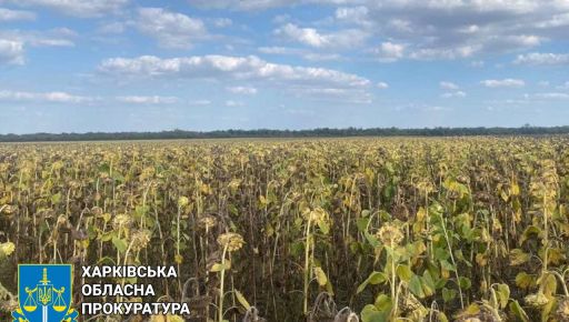 На Харківщині судитимуть "фермера", що захопив та незаконно засіяв 50 га землі