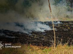 В Харьковской области за неделю выгорело более 60 га сухостоя – ГСЧС