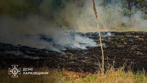В Харьковской области за неделю выгорело более 60 га сухостоя – ГСЧС