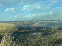 На Харьковщине из-за FPV-дронов перестали засевать часть полей - Синегубов