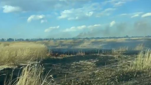 На Харьковщине из-за FPV-дронов перестали засевать часть полей &ndash; Синегубов