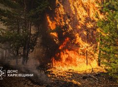 Харьковские спасатели за неделю потушили огонь на 490 га