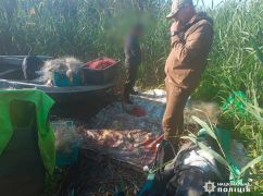 В Харьковской области схватили браконьеров