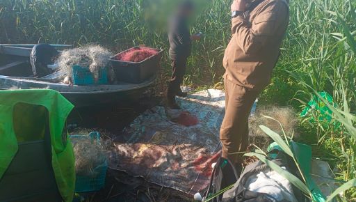 В Харьковской области схватили браконьеров