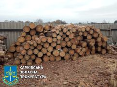 На Харківщині викрили чорного лісоруба, який промишляв у заказнику
