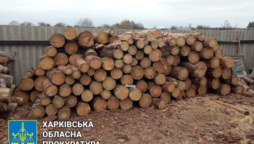На Харківщині викрили чорного лісоруба, який промишляв у заказнику