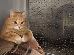 Синоптики рассказали, будет ли дождь на выходных в Харькове