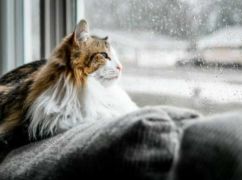 Что ждет Харьков 2 августа: прогноз погоды