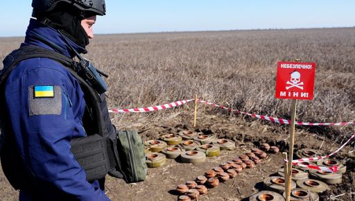На Харківщині за тиждень розчистили понад 4 га території від мін та снарядів