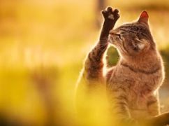 Якою буде погода у Харкові 4 квітня: прогноз синоптиків