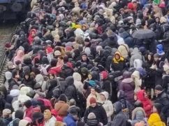 Наши за границей. Истории харьковчан, которые уехали от войны