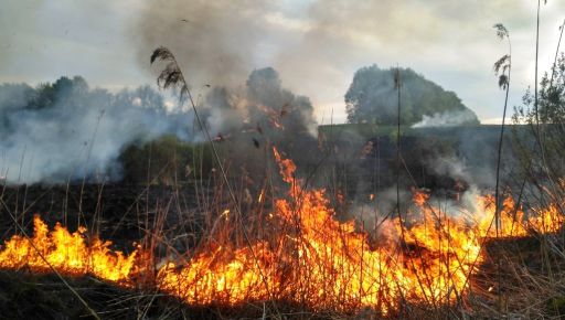 В Харьковской области из-за вражеских обстрелов произошли пожары в экосистемах – ГСЧС