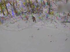 На севере Харьковской области пограничники ослепили врага: дроны уничтожили камеры наблюдения