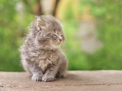 Якою буде погода у Харкові завтра, 28 квітня