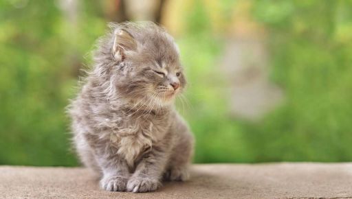 Какая будет погода в Харькове завтра, 28 апреля