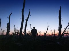 Фільм харківського режисера потрапив у шортліст премії Оскар