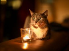 Часть Харьковщины останется сегодня без света: адреса