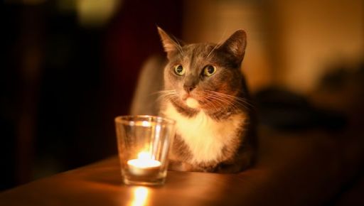 Частина Харківщини залишиться сьогодні без світла: адреси