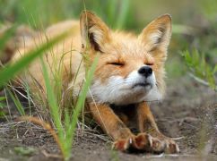 Прогноз погоды для Харькова на 12 декабря: чего ожидать