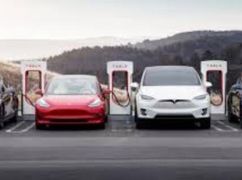 Керівниця апарату Харківської РВА задекларувала чотири нових Tesla і ділянку на Прикарпатті