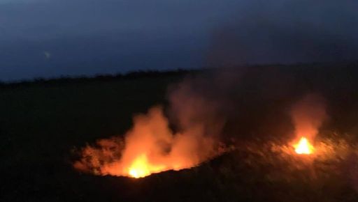 Пограничники сбили "Шахед" над Харьковщиной – ГПСУ