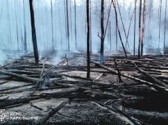 Пожарные ликвидировали масштабный лесной пожар на Изюмщине