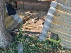 В Харьковской области российские дроны попали по частному дому: кадры разрушений