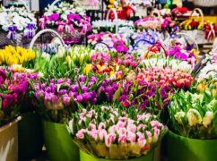 У Терехова розповіли, скільки коштують квіти в Харкові напередодні 8 березня