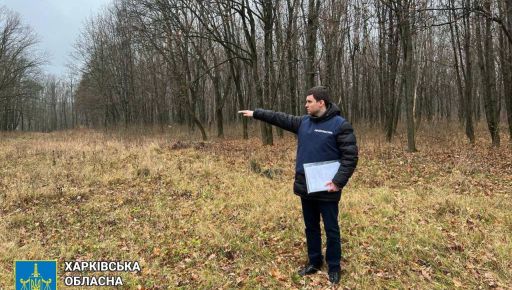 В Харькове горсовет отдал в частную собственность лес стоимостью 8,5 млн грн – прокуратура