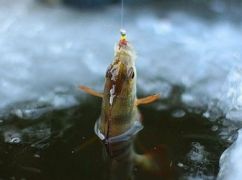 На Харківщині заборонили риболовлю у зимувальних ямах: що потрібно знати рибалкам