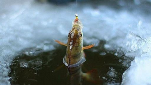 На Харьковщине запретили рыбалку в зимовальных ямах: что нужно знать рыбакам