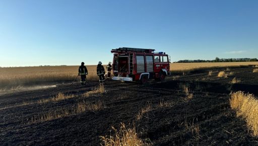 Окупанти знищили 4,5 га пшениці в Харківській області: Кадри з місця
