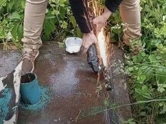 В Харькове котята оказались в ловушке во время ливня: их спасали с болгаркой