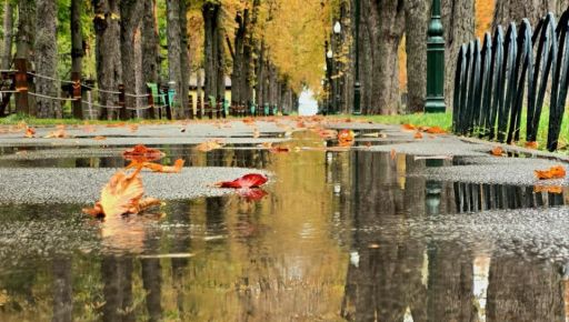 В Харьковской области прогнозируют облачную погоду 1 ноября