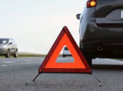 В Харькове патрульные разыскали водителя, сбившего собаку и скрывшегося с места ДТП