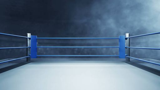 Харьковский боксер выбыл из топ-15 рейтинга WBO