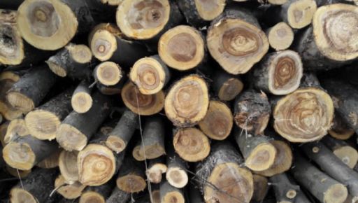 Громада на Харьковщине дополнительно получила из бюджета более 3 млн грн на топливную древесину