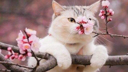 Что ждет Харьков 20 марта: прогноз погоды